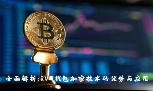 全面解析：RVN钱包加密技术的优势与应用