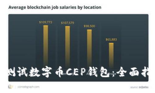 如何有效测试数字币CEP钱包：全面指南与建议