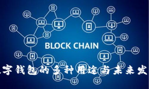 数字钱包的多种用途与未来发展