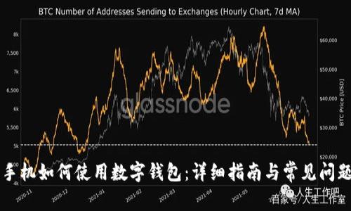 苹果手机如何使用数字钱包：详细指南与常见问题解析