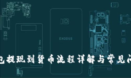 : TP钱包提现到货币流程详解与常见问题解答