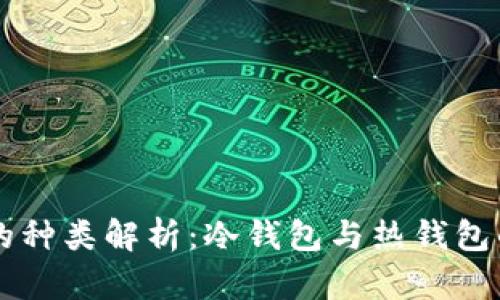 区块链钱包的种类解析：冷钱包与热钱包的区别与应用