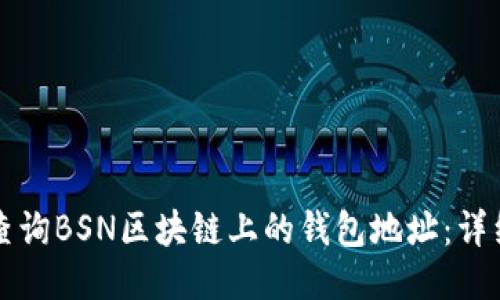 如何查询BSN区块链上的钱包地址：详细指南