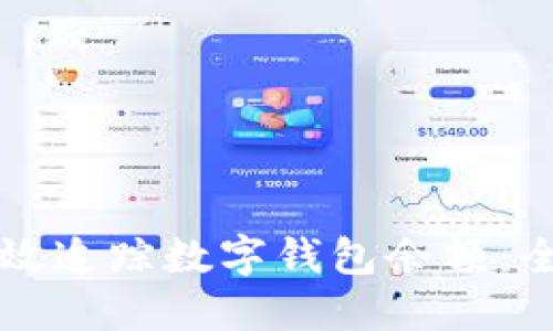 如何高效追踪数字钱包余额：全面指南