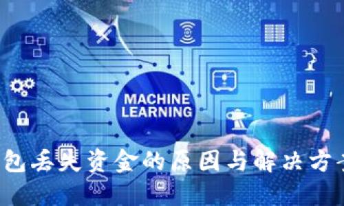  TP钱包丢失资金的原因与解决方案详解