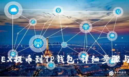 如何将OKEX提币到TP钱包：详细步骤与注意事项