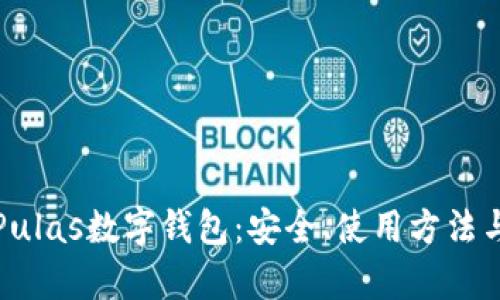 全面解析Pulas数字钱包：安全、使用方法与未来发展