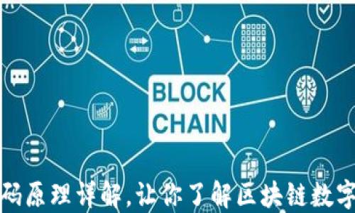 
TP钱包二维码原理详解，让你了解区块链数字钱包的秘密