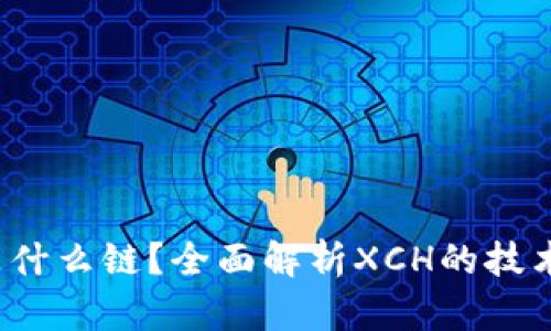 xch在TP钱包上是什么链？全面解析XCH的技术背景与应用前景