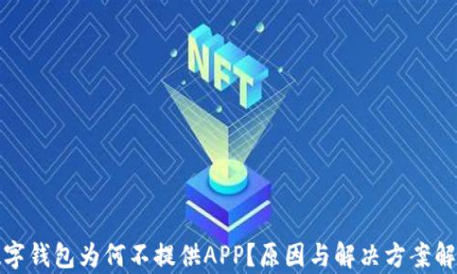 
数字钱包为何不提供APP？原因与解决方案解析