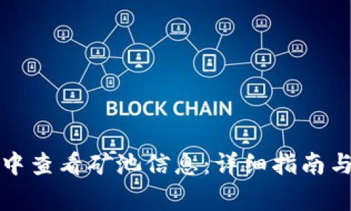 如何在TP钱包中查看矿池信息：详细指南与常见问题解答