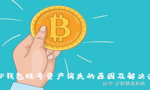 : TP钱包账号资产消失的原因及解决办法